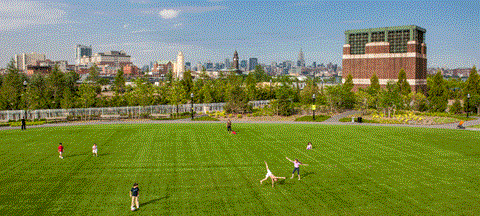 people playing soccer on a green field in a park with a city in the background